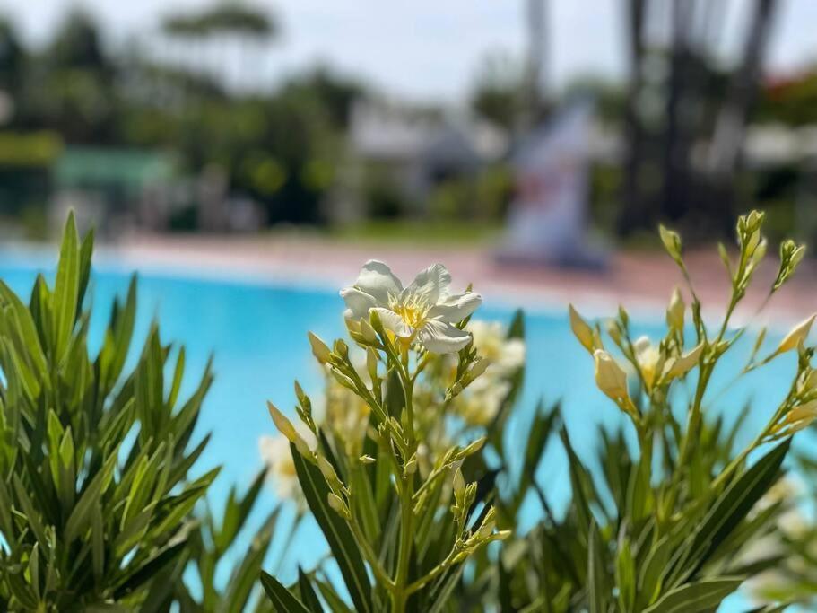 Cozy & Modern Bungalow W/Private Garden Bbq+Wifi Maspalomas  Extérieur photo