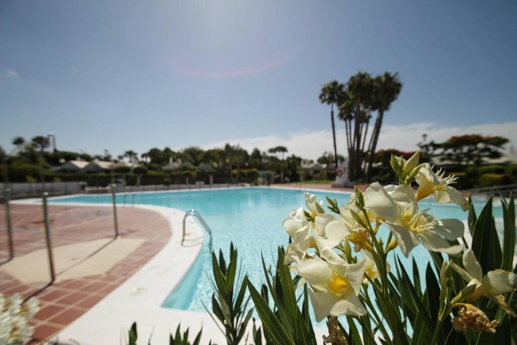 Cozy & Modern Bungalow W/Private Garden Bbq+Wifi Maspalomas  Extérieur photo